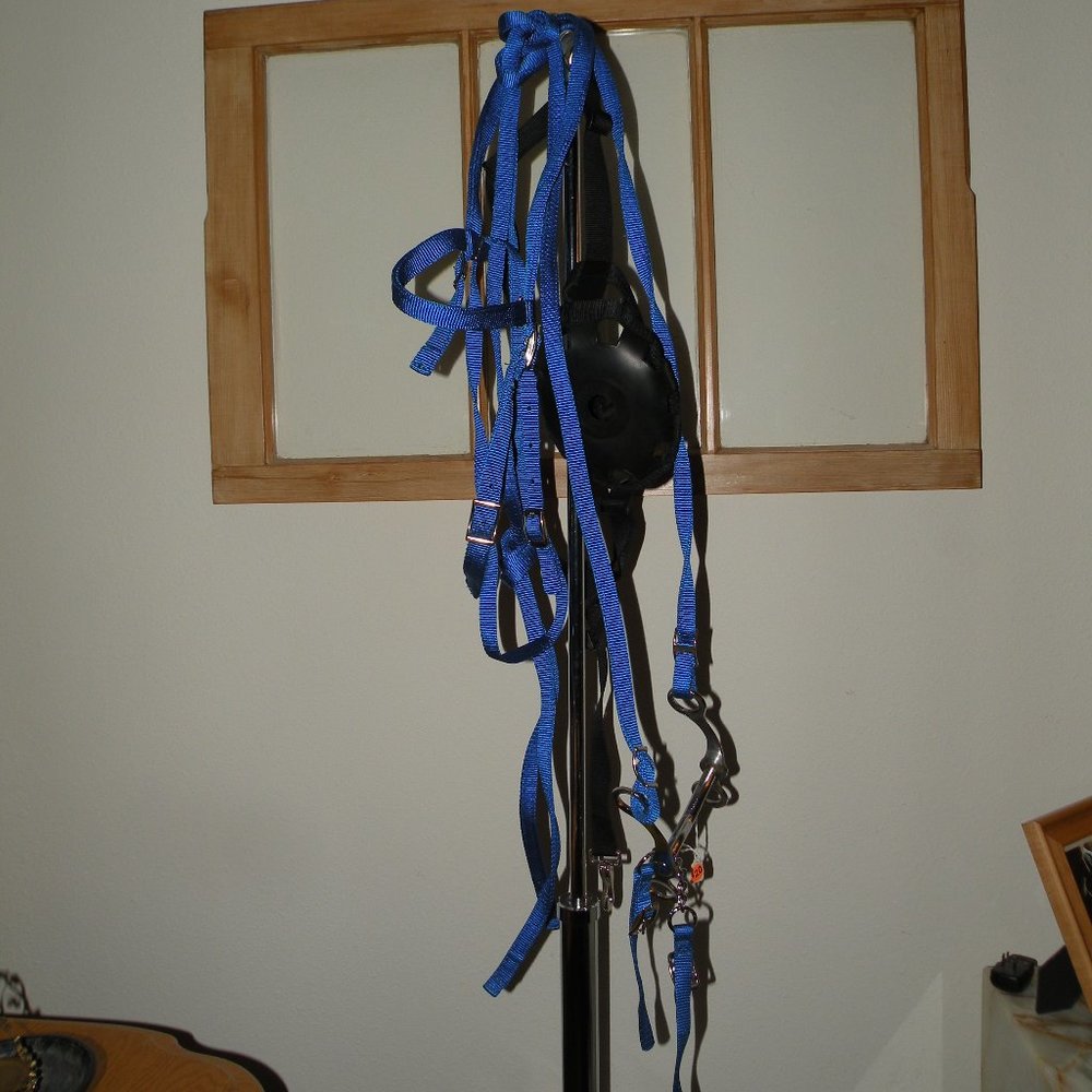 Horse lead rope, halter and mussel